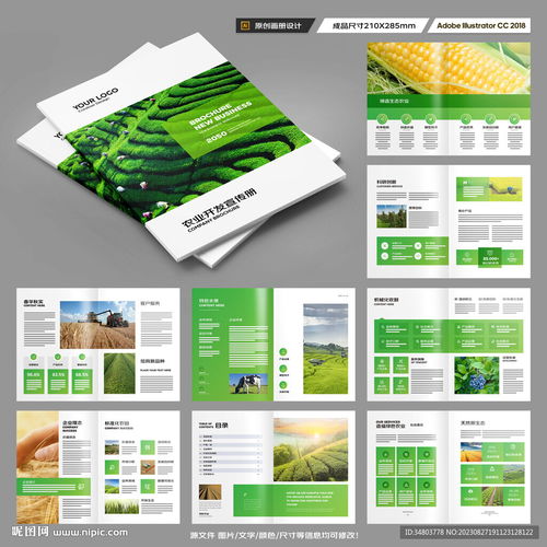 農產品宣傳冊設計圖與廣告設計策略